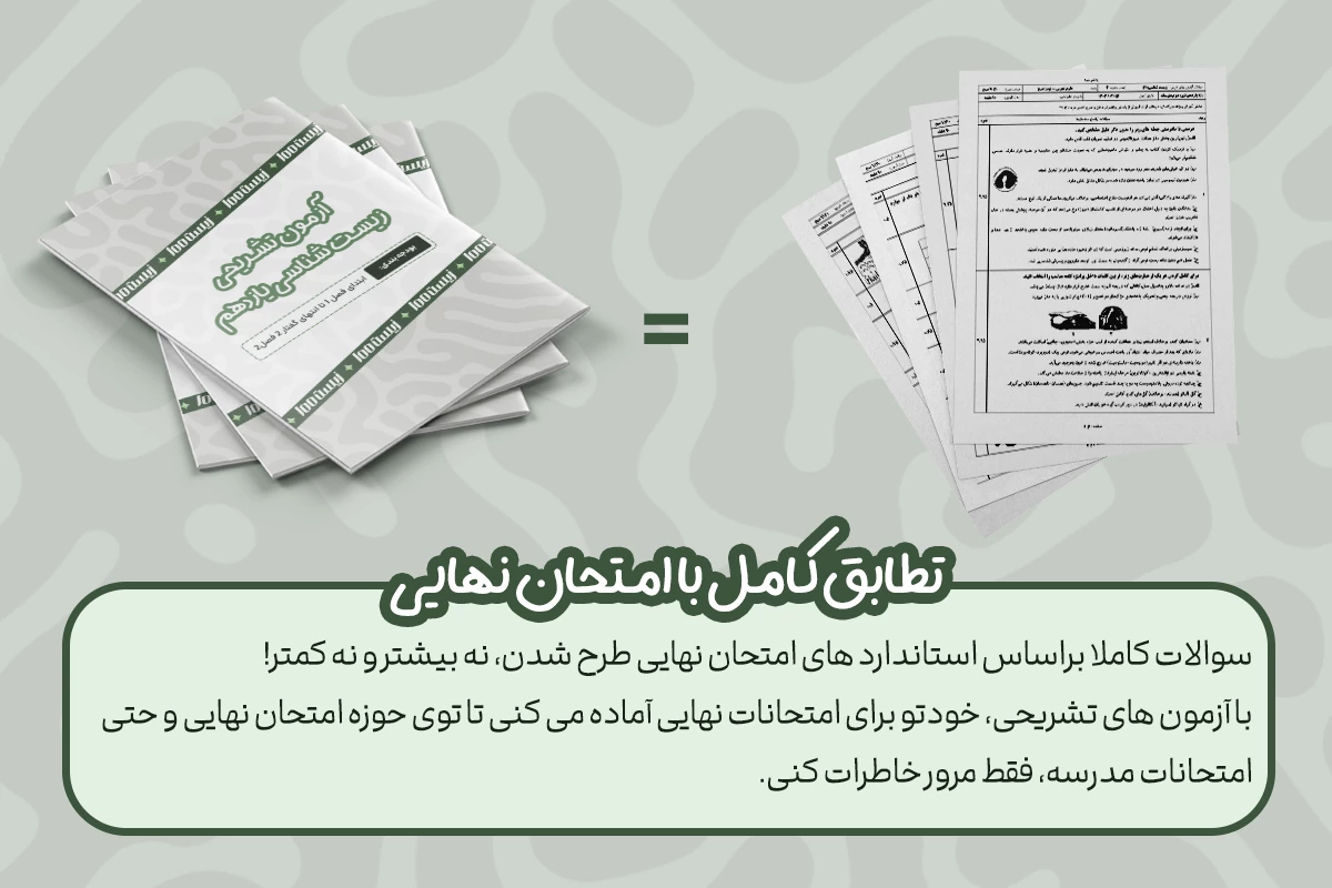 سوالات استاندارد 4 تطابق کامل با امتحان نهایی